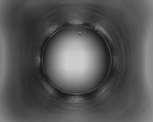 X0000086980541200704161450
