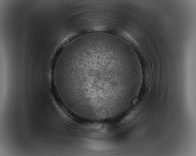 X0000086980542200704161450