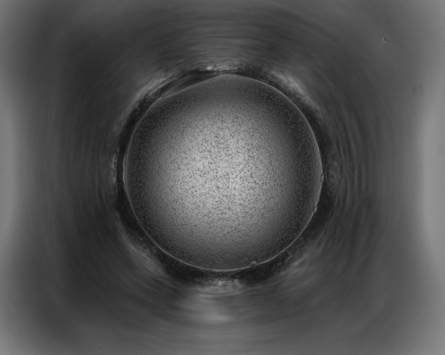 X0000086980543200704161450
