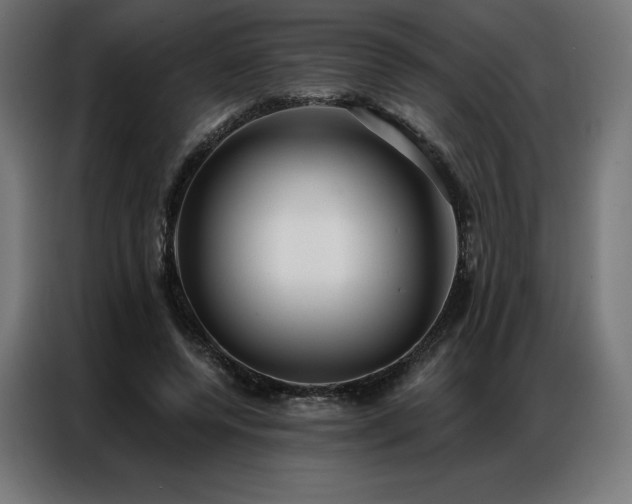 X0000086980544200704161450