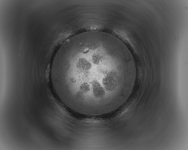 X0000086980545200704161450