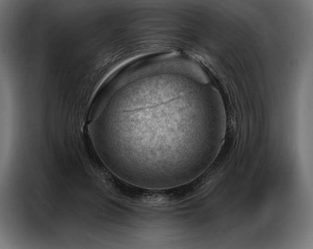 X0000086980551200704161450