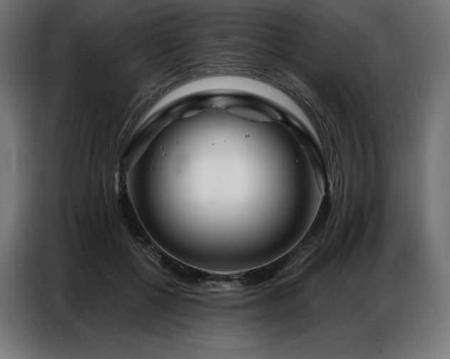 X0000086980552200704161450