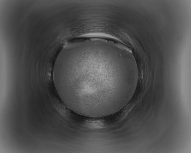 X0000086980553200704161450