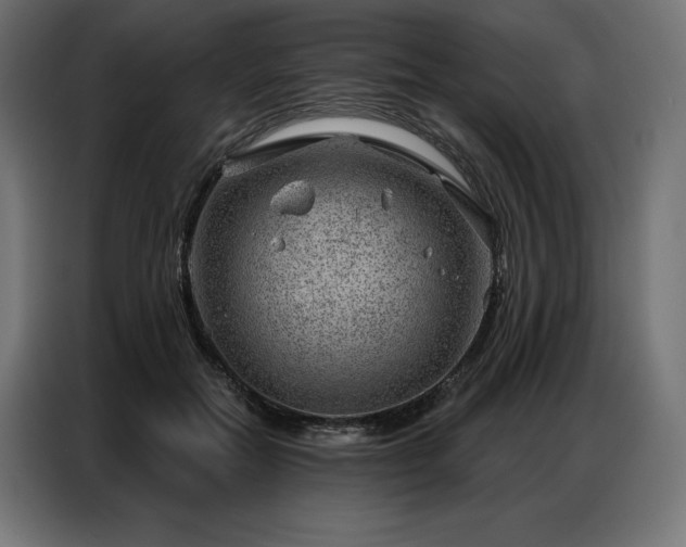 X0000086980554200704161450