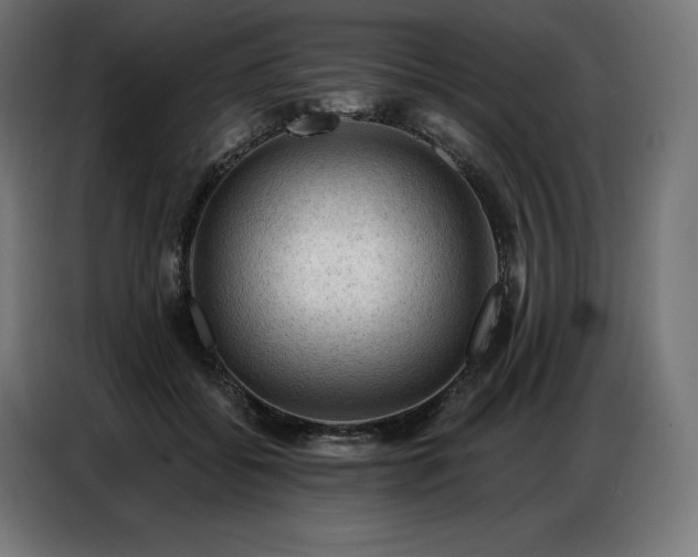 X0000086980556200704161450