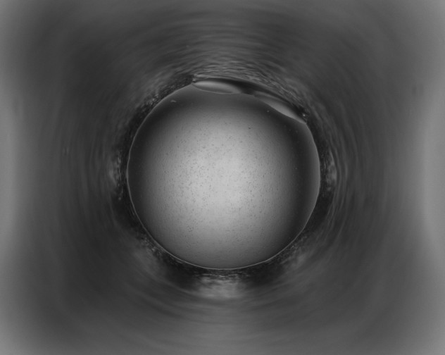 X0000086980559200704161450