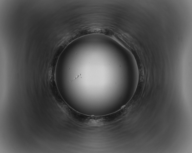 X0000086980560200704161450