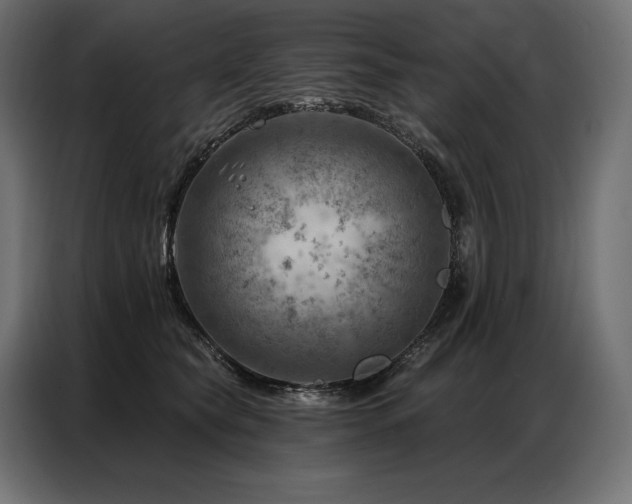 X0000086980565200704161450