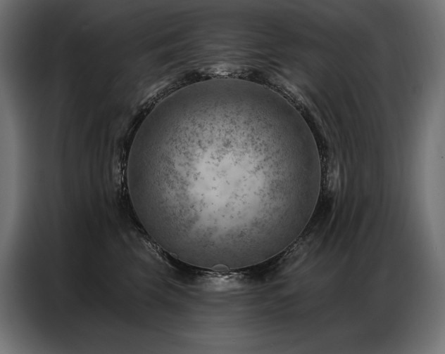X0000086980569200704161450