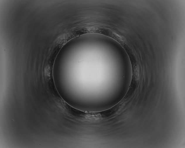 X0000086980571200704161450