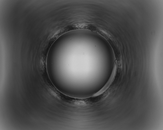 X0000086980572200704161450