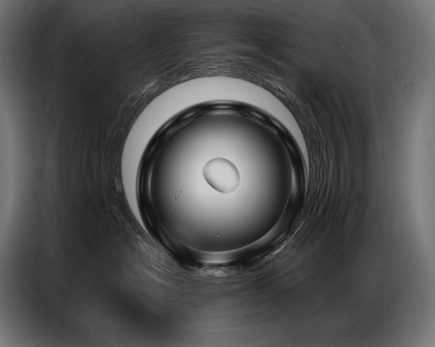 X0000086980574200704161450