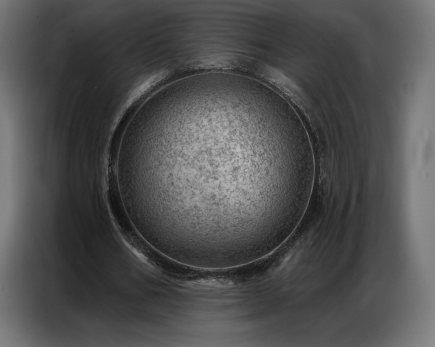 X0000086980578200704161450