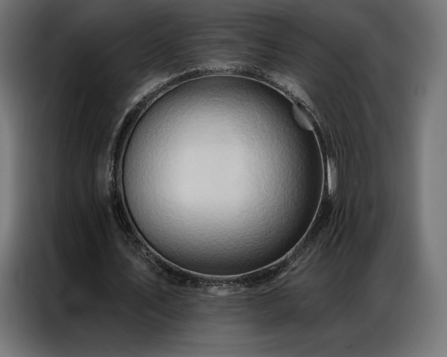 X0000086980579200704161450