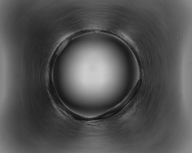 X0000086980580200704161450