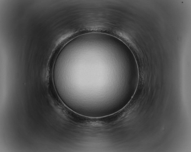 X0000086980583200704161450
