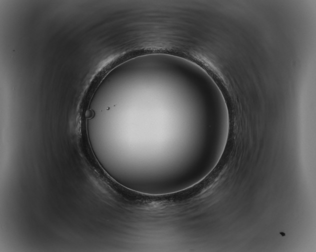 X0000086980584200704161450