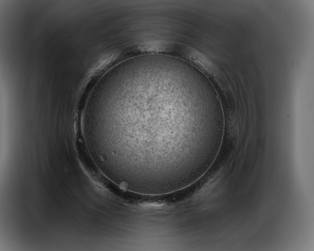 X0000086980586200704161450