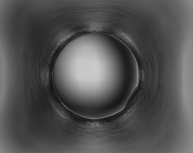 X0000086980588200704161450
