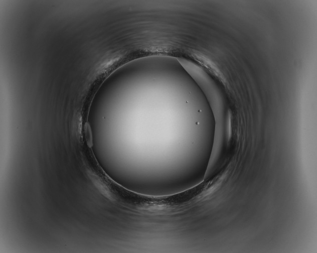 X0000086980589200704161450