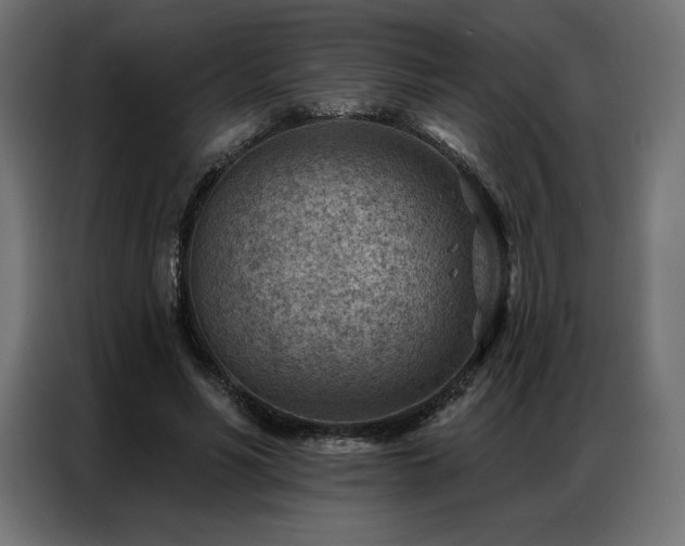 X0000086980590200704161450