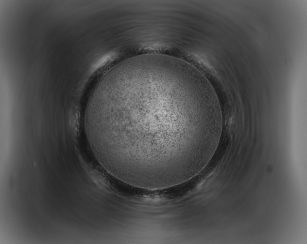 X0000086980591200704161449