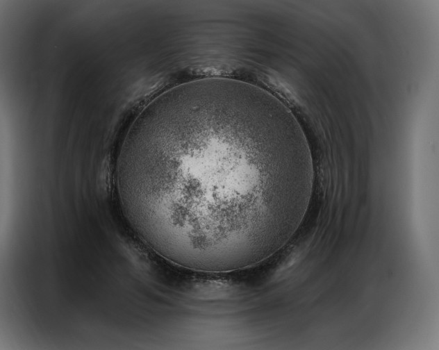 X0000086980594200704161449