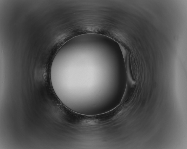 X0000086980595200704161449