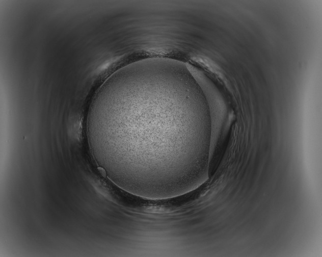 X0000086980596200704161449