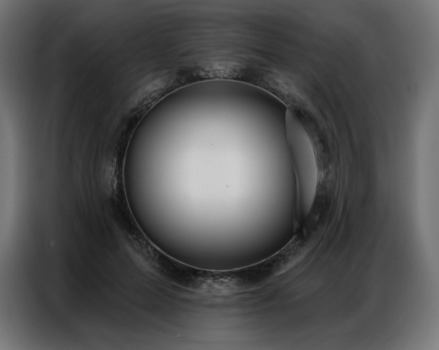 X0000086980599200704161449