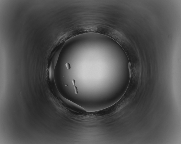 X0000086980600200704161449