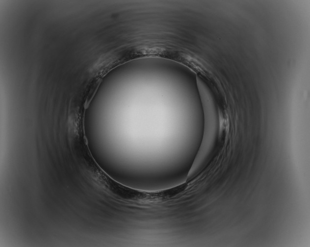 X0000086980604200704161449
