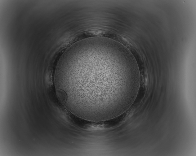 X0000086980606200704161449