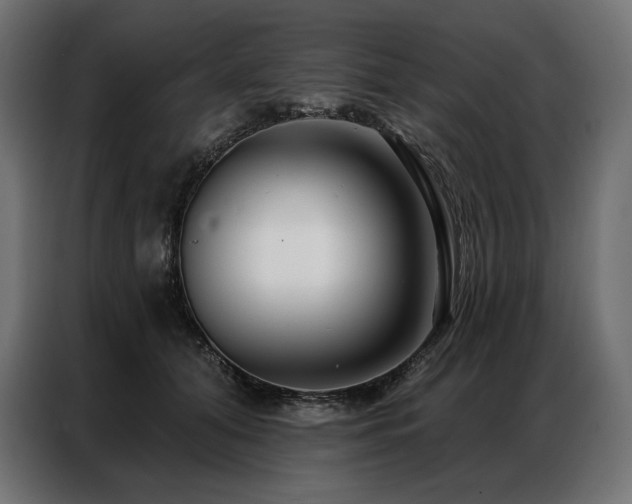 X0000086980608200704161449