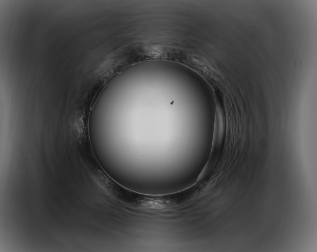 X0000086980611200704161449