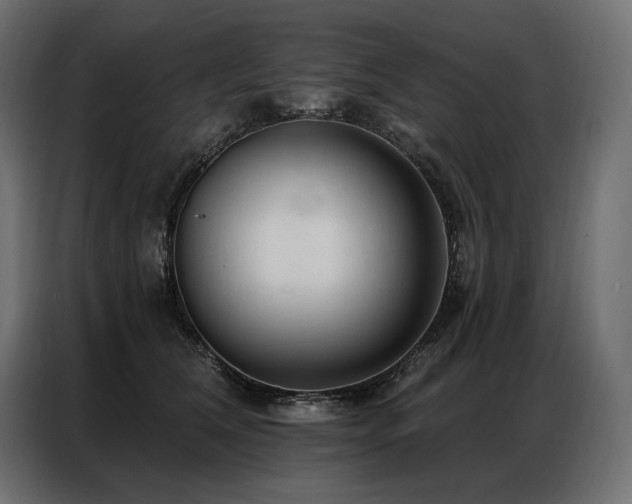 X0000086980612200704161449