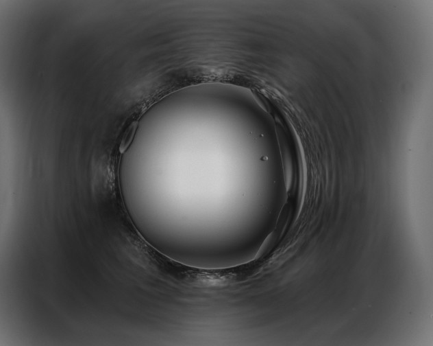 X0000086980613200704161449