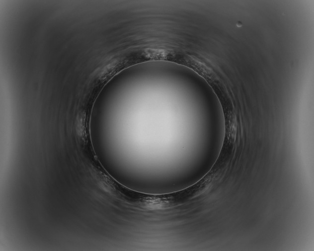 X0000086980616200704161449