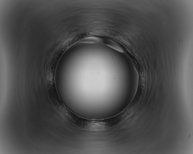 X0000086980617200704161449
