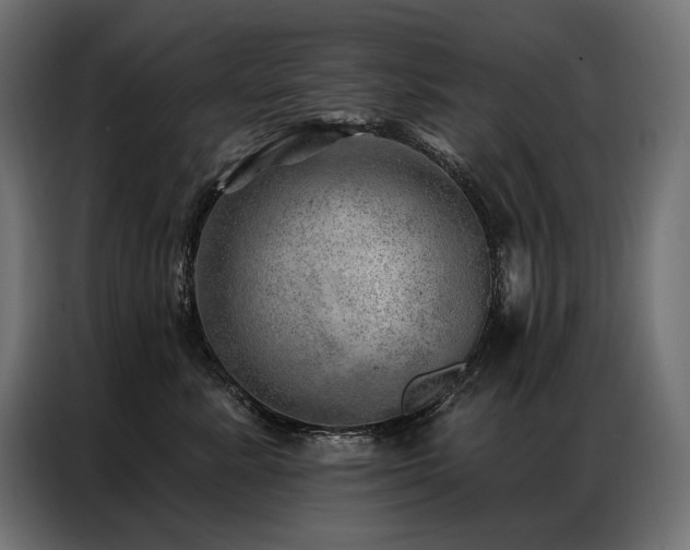X0000086980619200704161449
