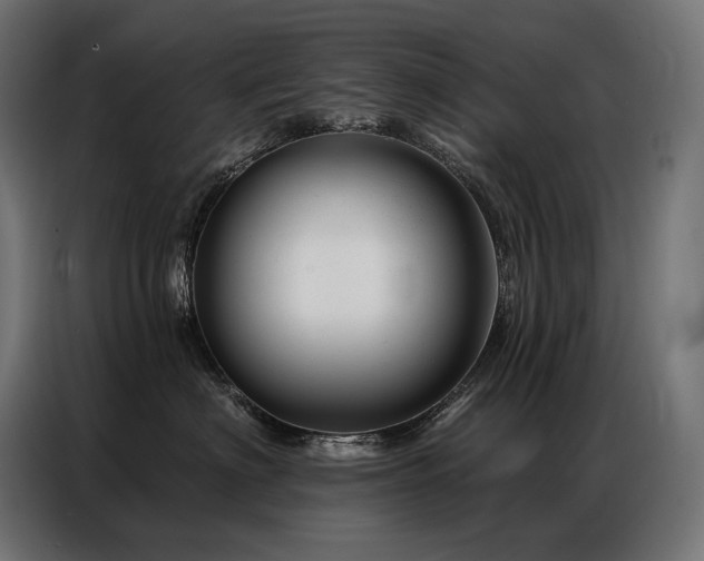 X0000086980622200704161449