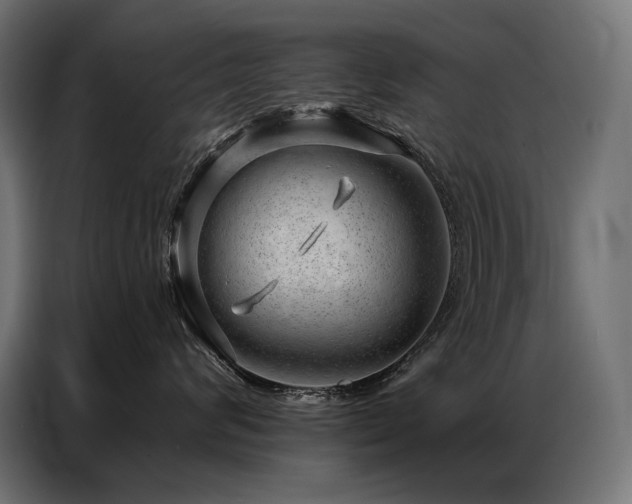 X0000086980624200704161449
