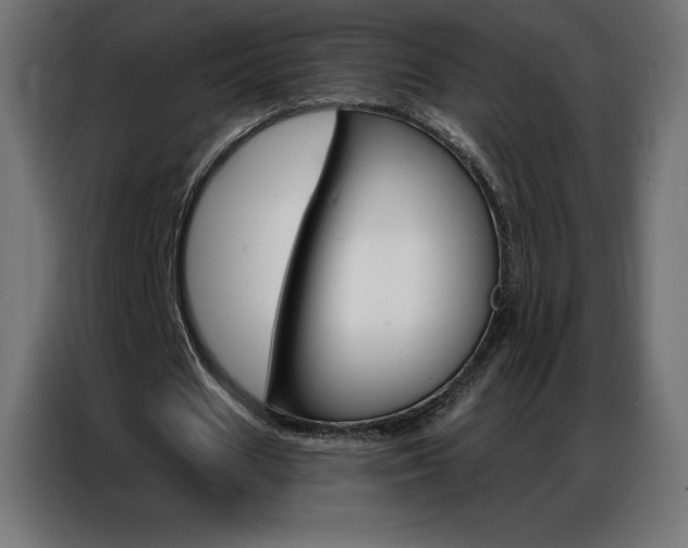 X0000086980625200704161449