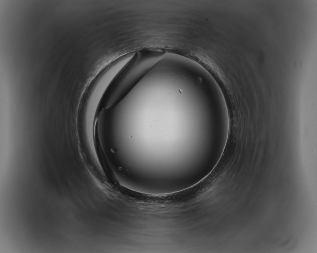 X0000086980626200704161449