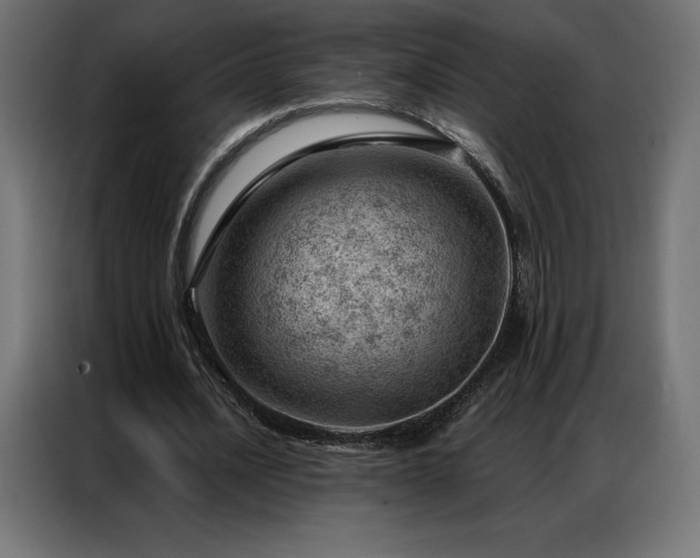 X0000086980628200704161449