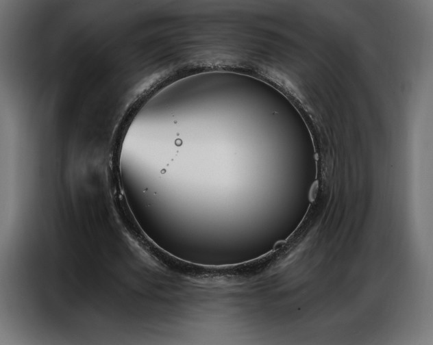 X0000086980629200704161449