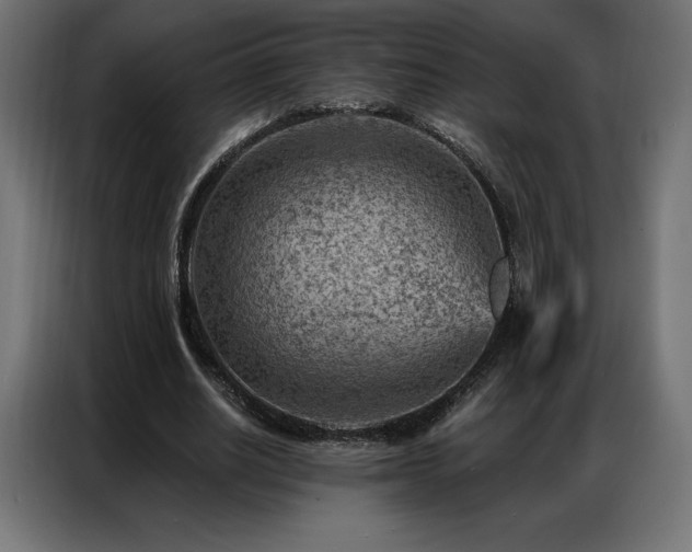 X0000086980630200704161449