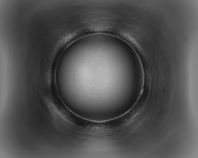X0000086980631200704161449