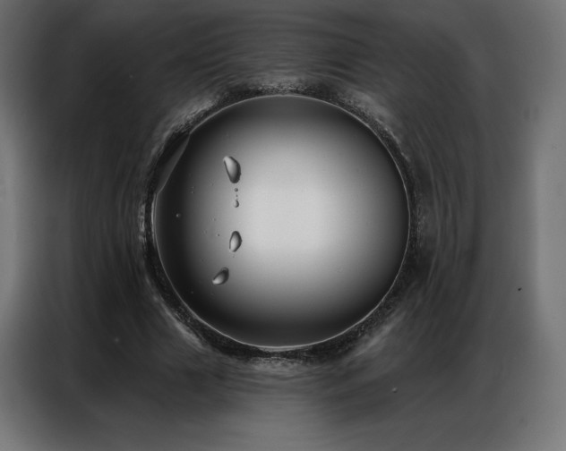 X0000086980633200704161449